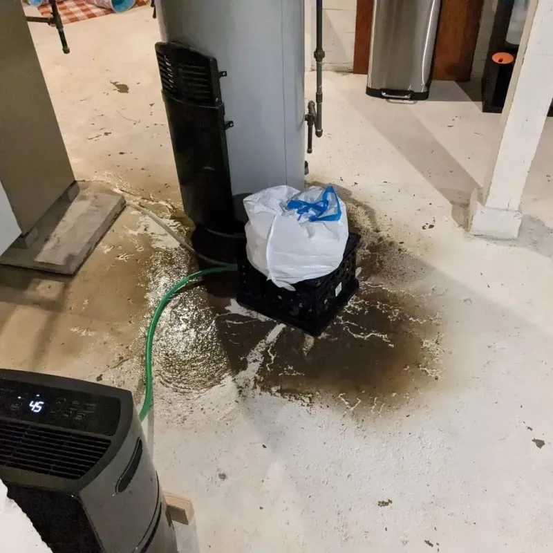 Sewage Backup Cleanup Service in Kensett, AR